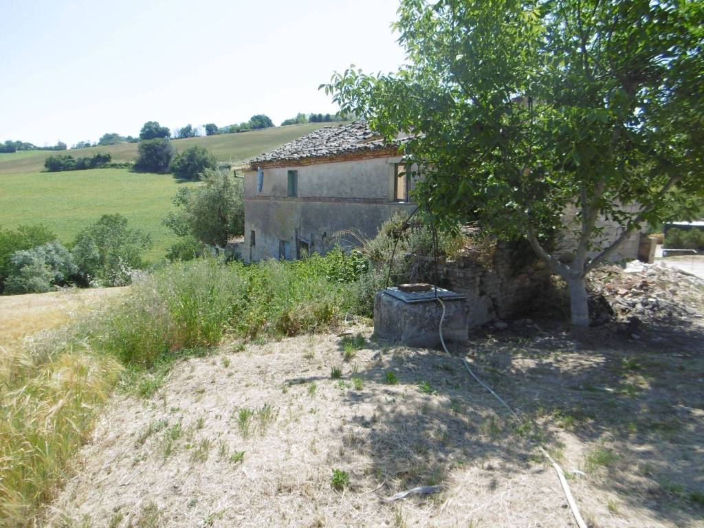 Rustico / casale a Montegranaro in Contrada Santa Maria - Foto 3