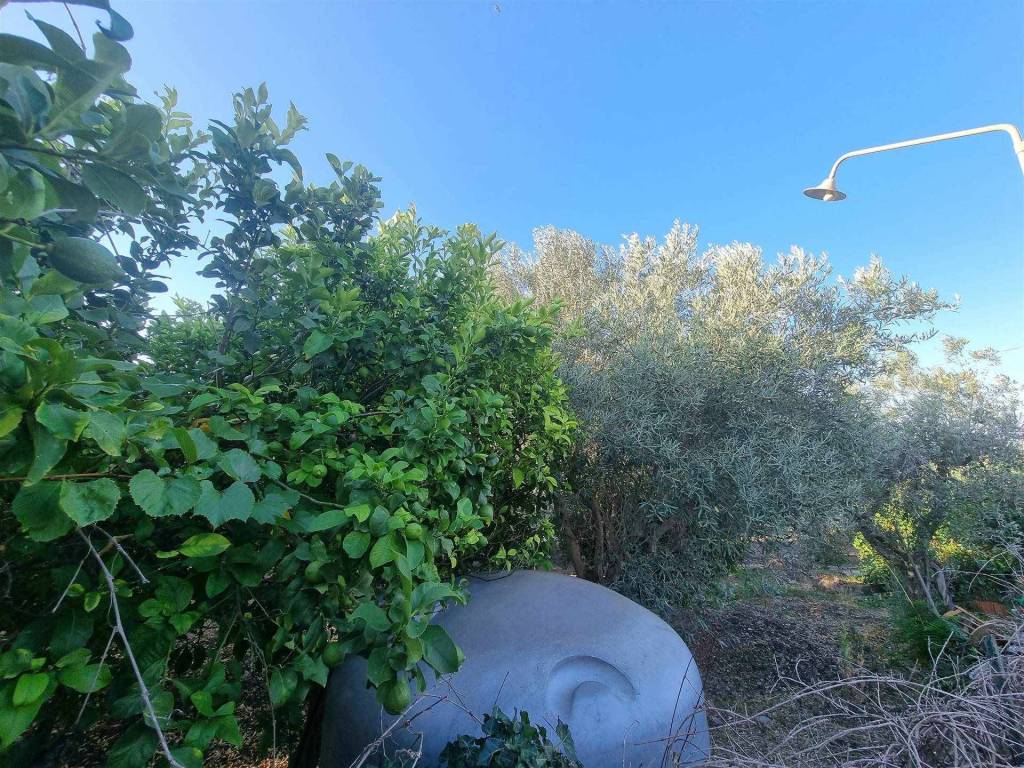 Villa a Caltanissetta in contrada Cusatino - Foto 3