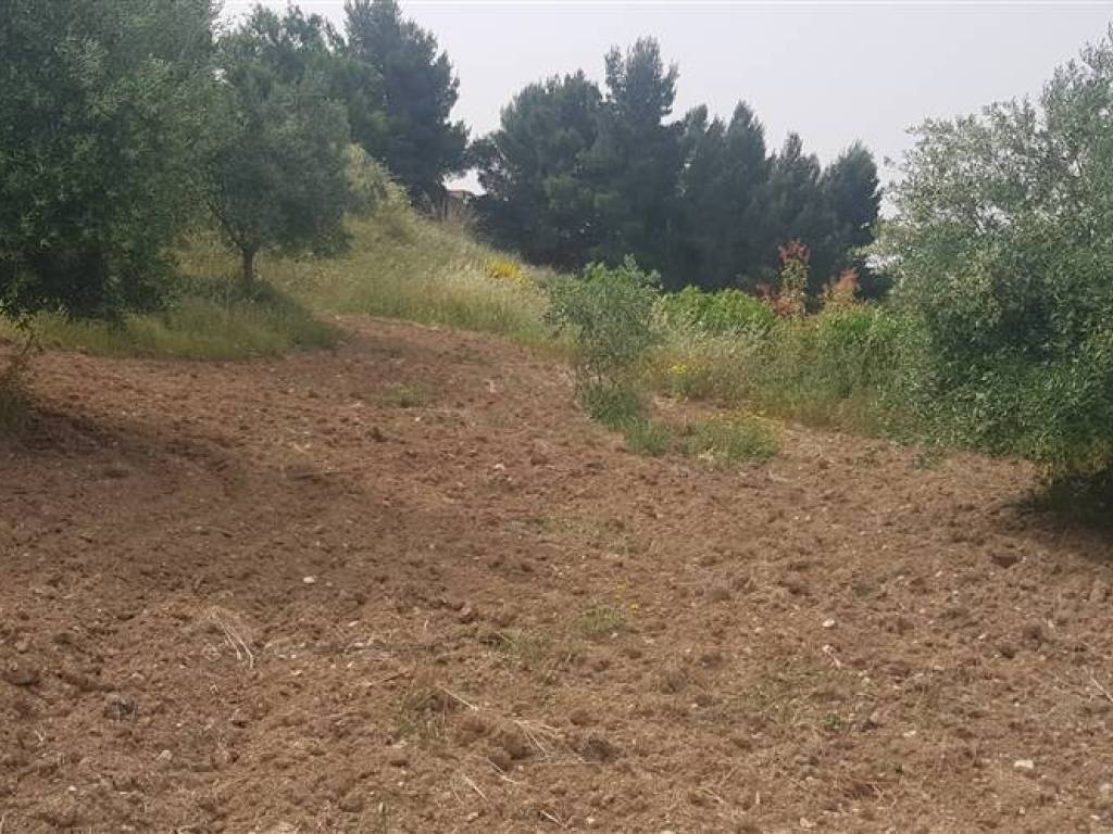 Terreno a Serradifalco in via delle miniere - Foto 3