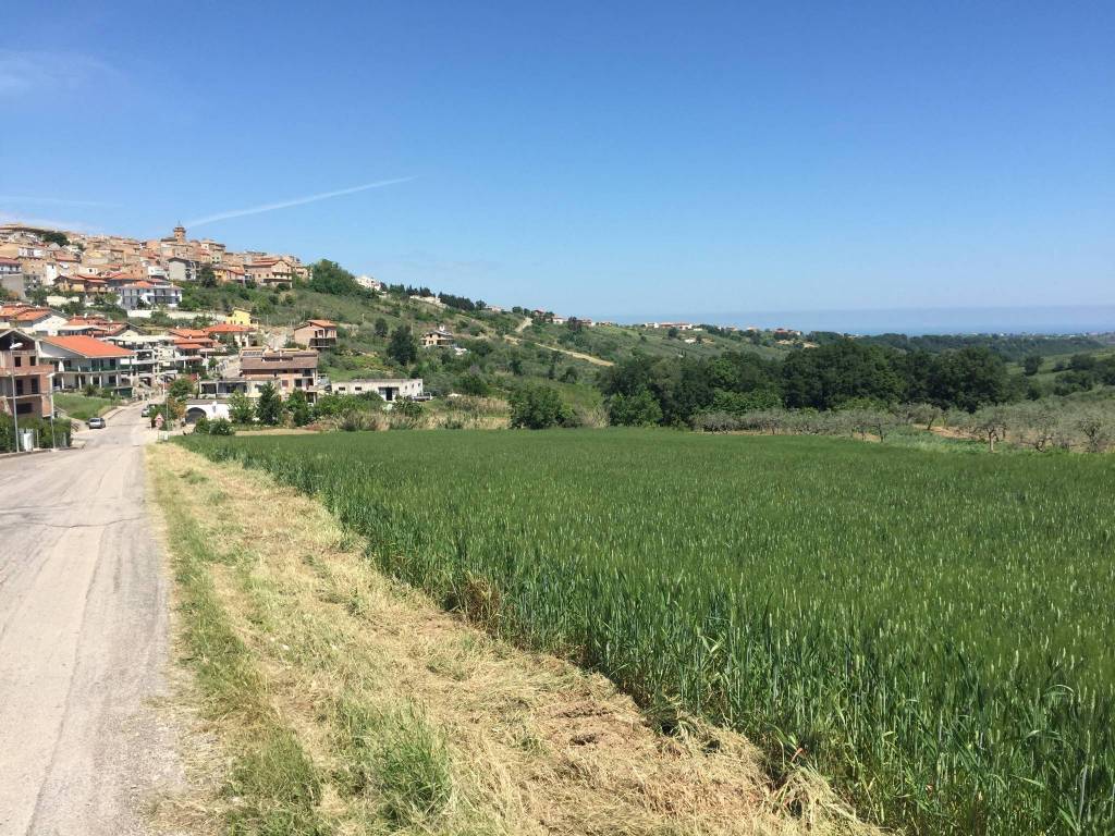 Terreno a Monteodorisio - Foto 4