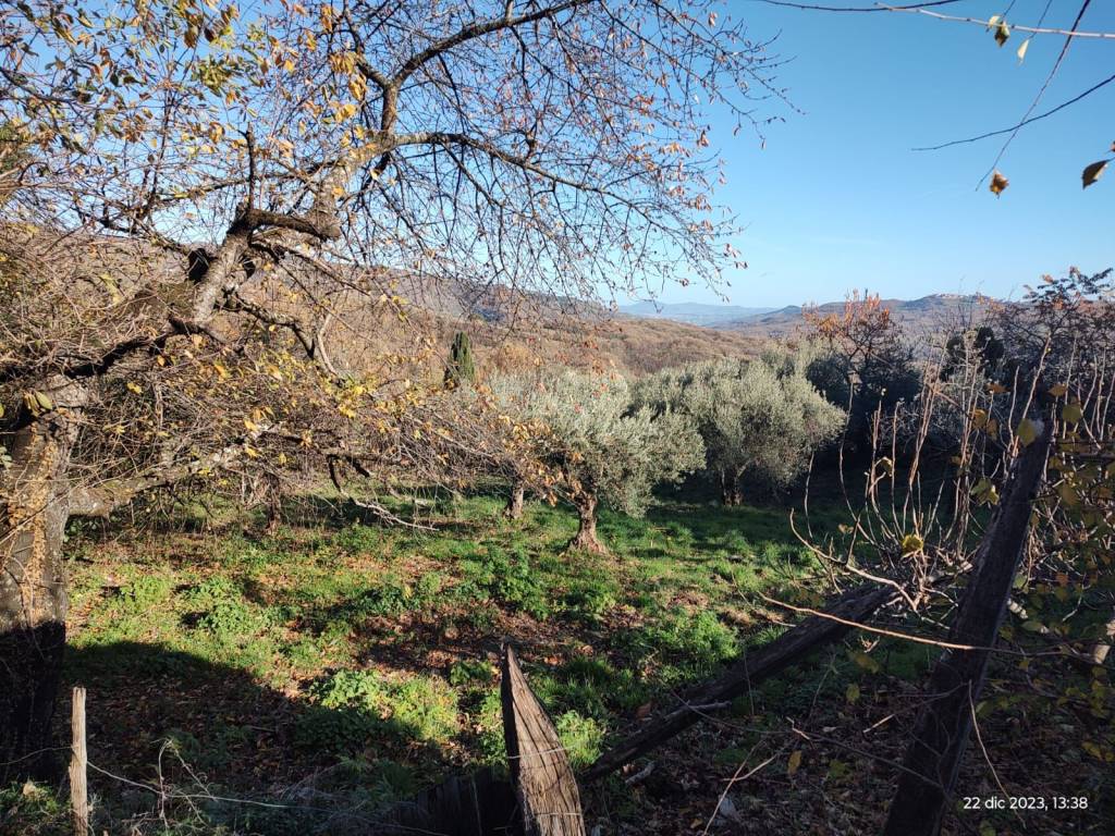 Casa indipendente a Carbone in Strada Provinciale di Carbone, 59 - Foto 5
