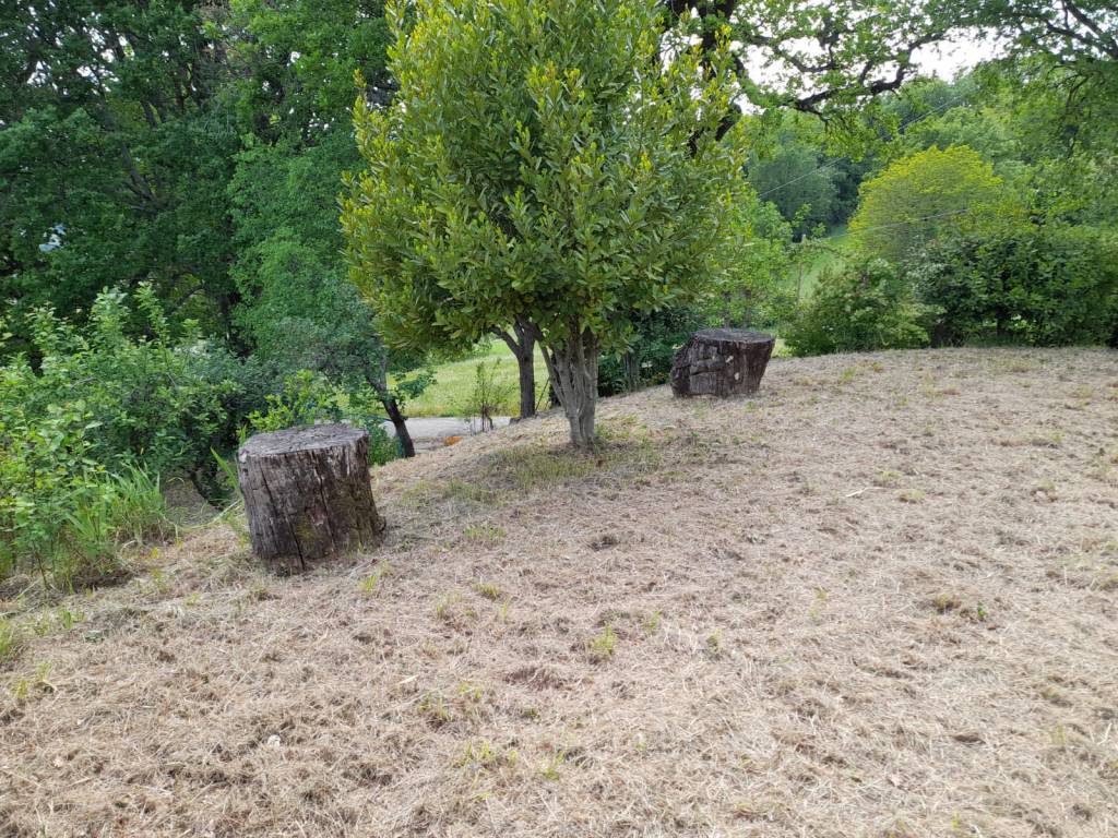 Rustico / casale a Monte cerignone in Via San Donato - Foto 5