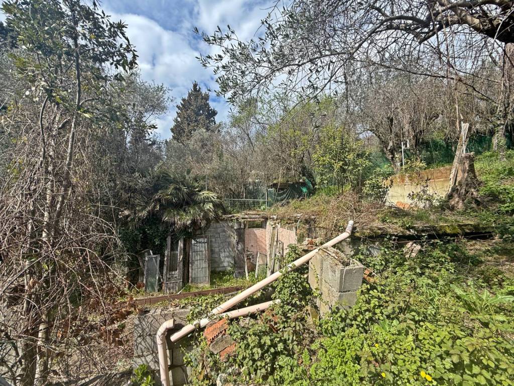 Terreno a Massarosa in Via delle Sezioni - Foto 2