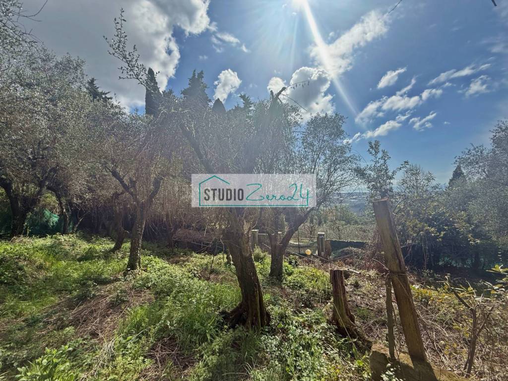 Terreno a Massarosa in Via delle Sezioni - Foto 3