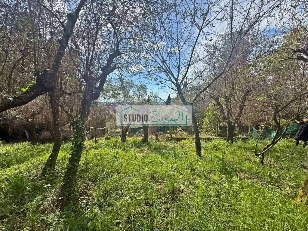 Terreno a Massarosa in Via delle Sezioni - Foto 5