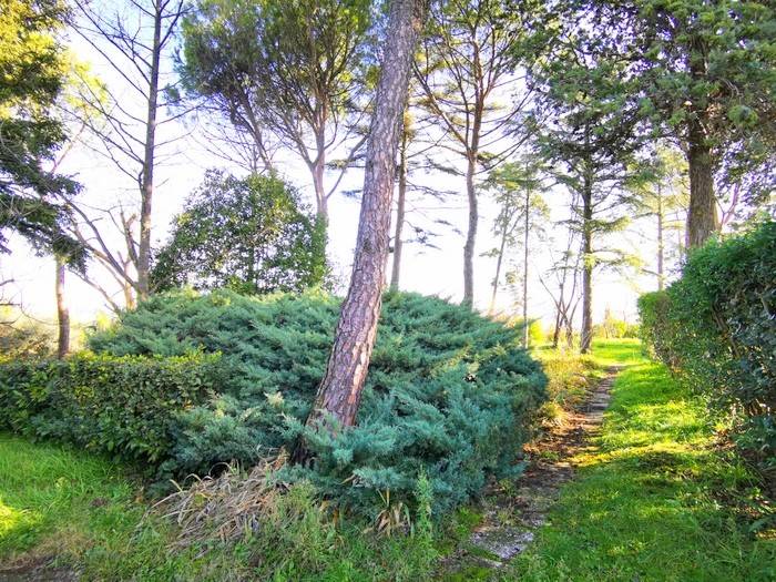 Terreno a Gradara in Via Fanano, 50 - Foto 3