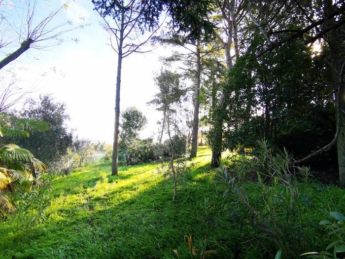 Terreno a Gradara in Via Fanano, 50 - Foto 5