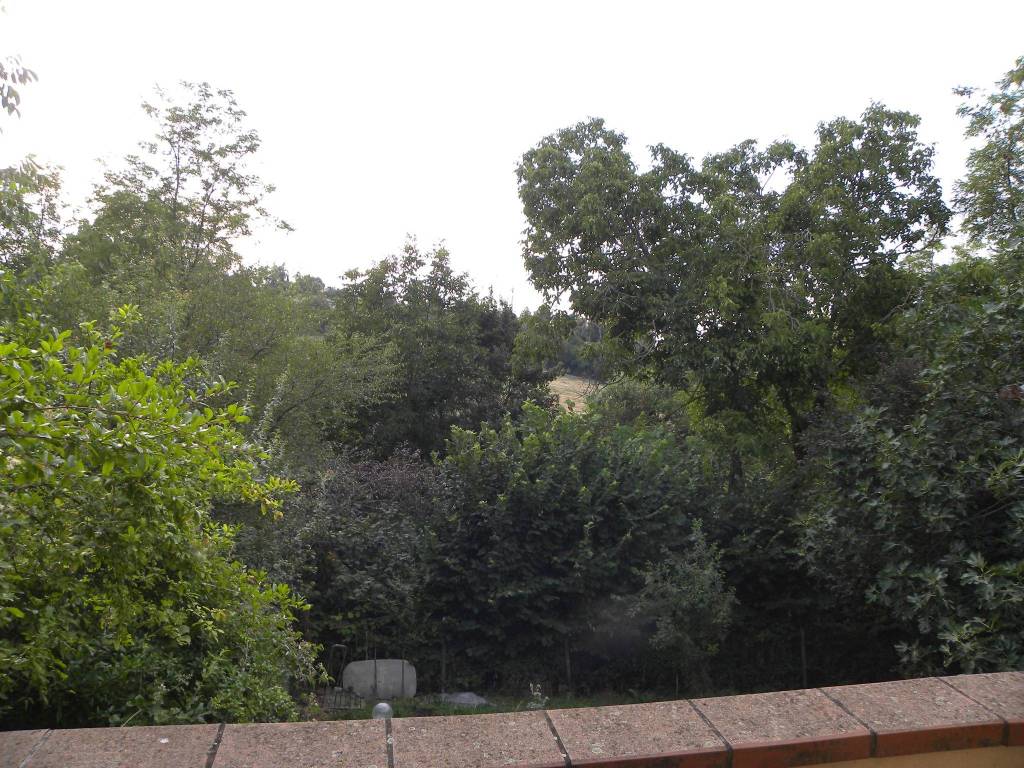 Rustico / casale a Albinea - Foto 4