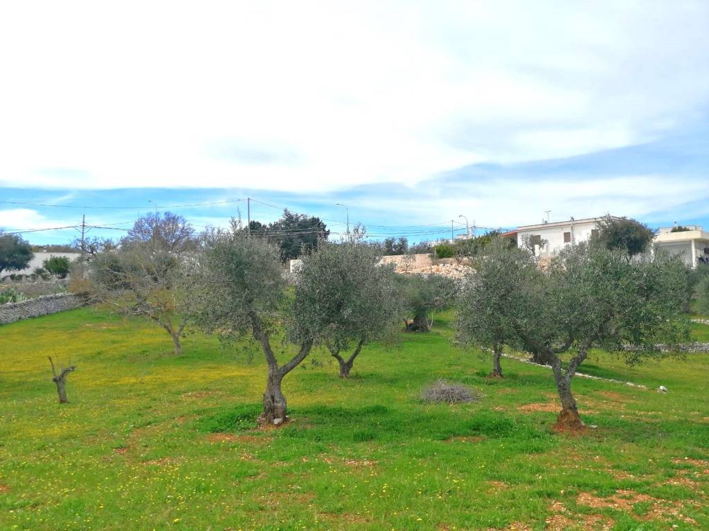 Terreno a Cisternino in Contrada Marinelli - Foto 2