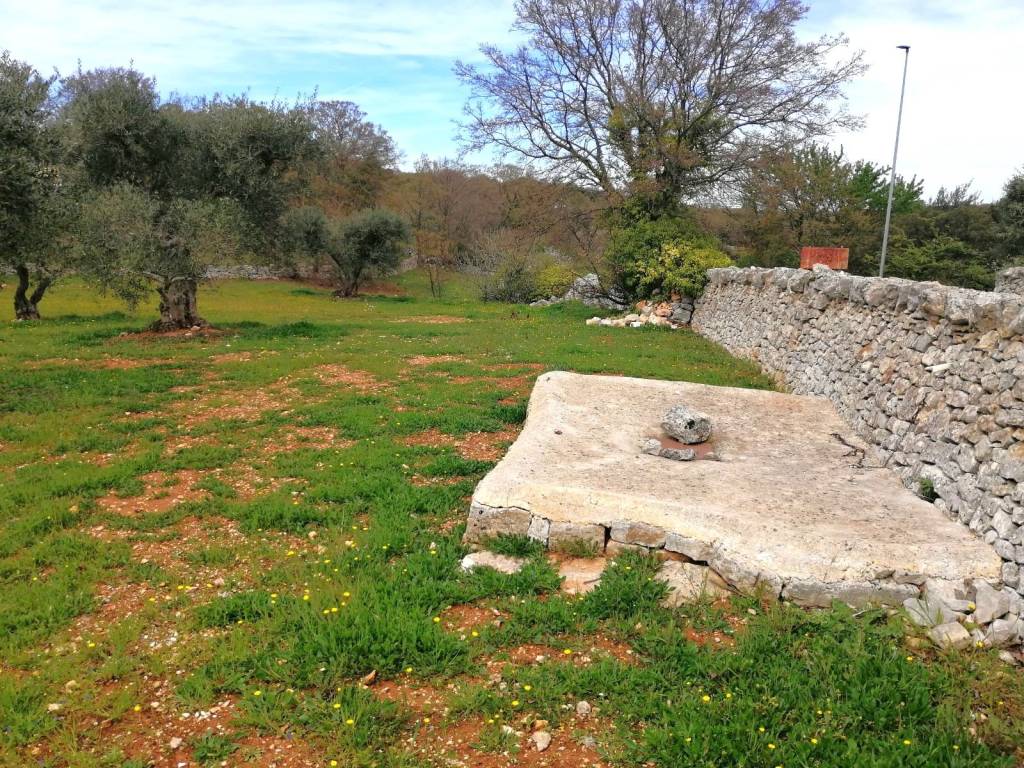 Terreno a Cisternino in Contrada Marinelli - Foto 3