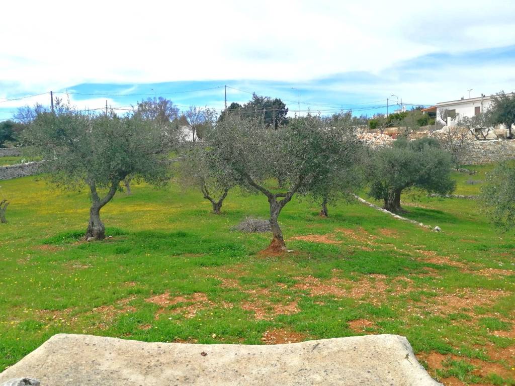Terreno a Cisternino in Contrada Marinelli - Foto 4