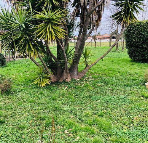 Villa a Latina - Foto 5