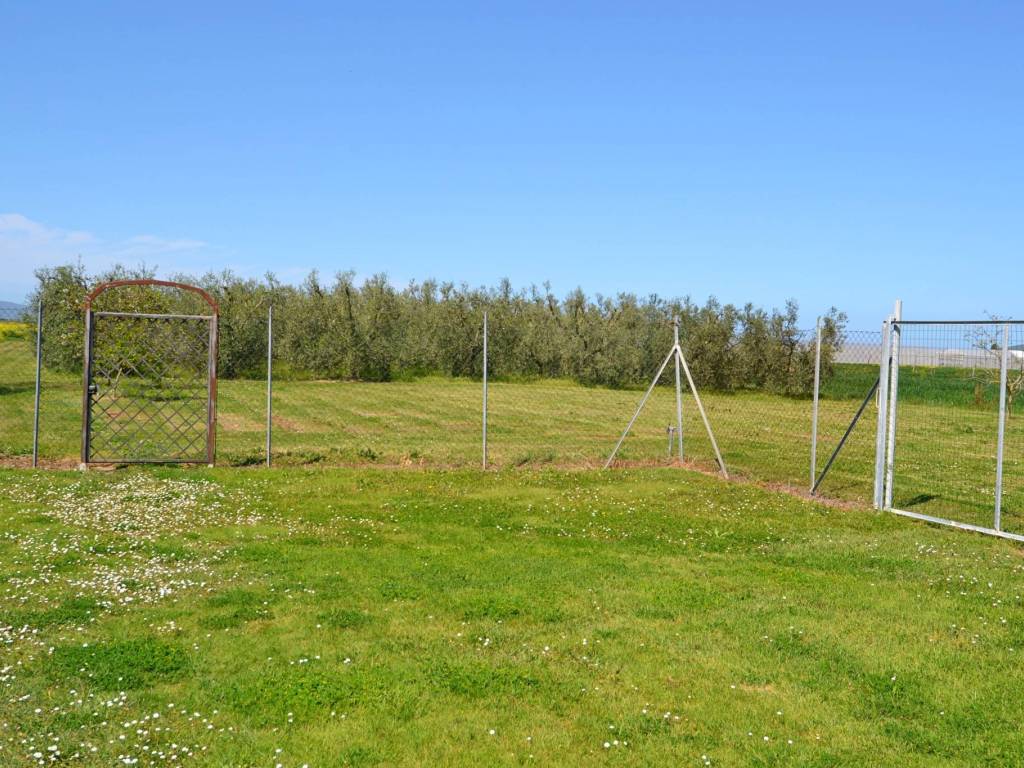 Rustico / casale a Campiglia marittima in Località Casalappi - Foto 4