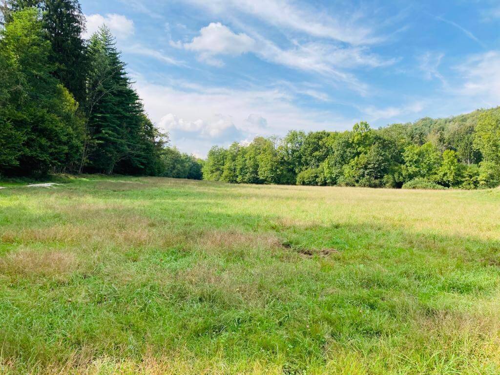 Terreno a Valganna in Via Roma, 1 - Foto 4