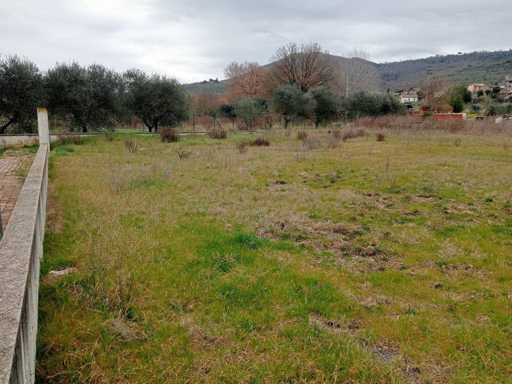 Terreno a Cortona in Ossaia - Foto 4