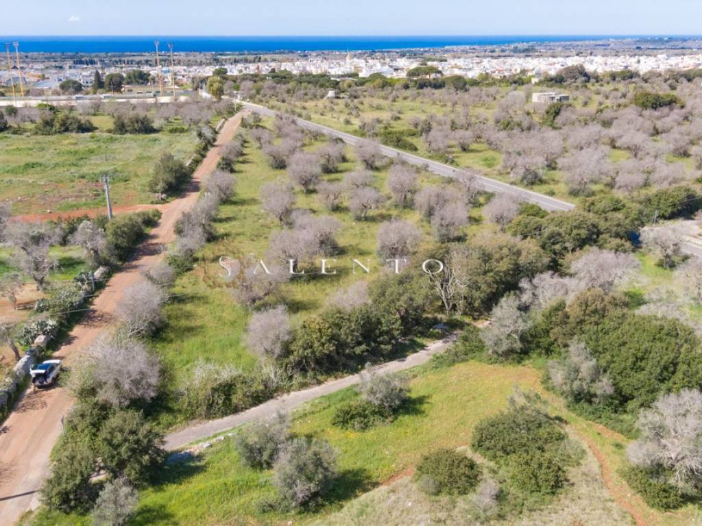 Terreno a Morciano di leuca in Strada Provinciale Montesardo - Foto 2