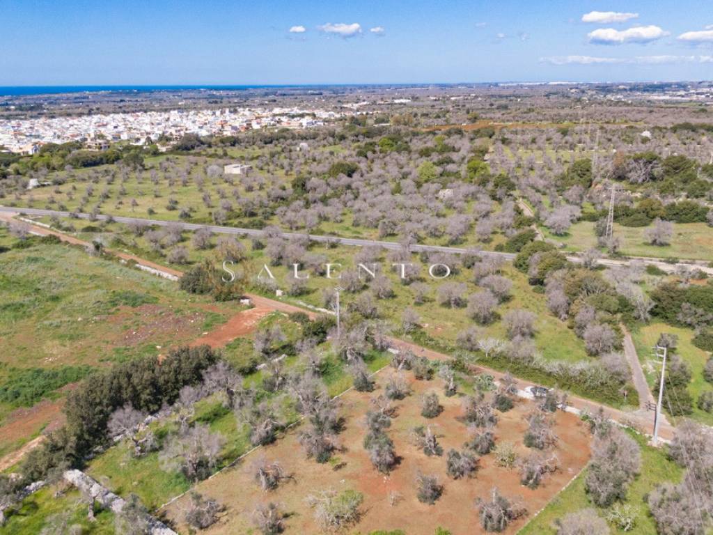 Terreno a Morciano di leuca in Strada Provinciale Montesardo - Foto 3