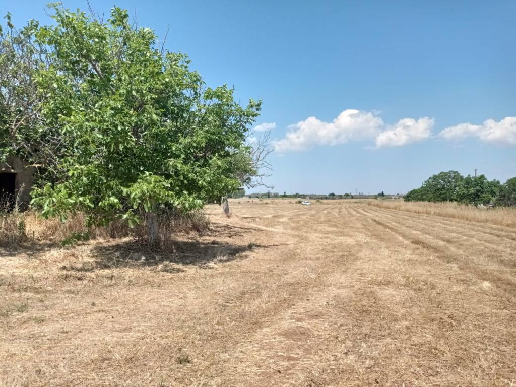 Terreno a Andrano in Ctr Macube - Foto 2