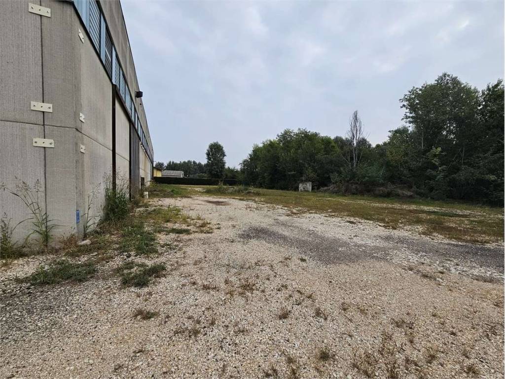 Immobile a Pegognaga - Foto 4