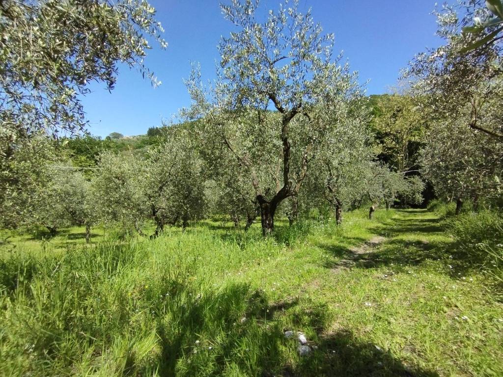 Terreno a Quarrata in Via dei Ronchi - Foto 2