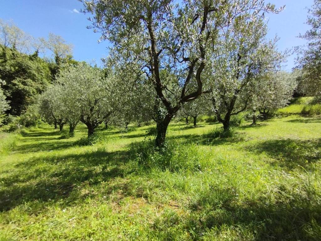 Terreno a Quarrata in Via dei Ronchi - Foto 3