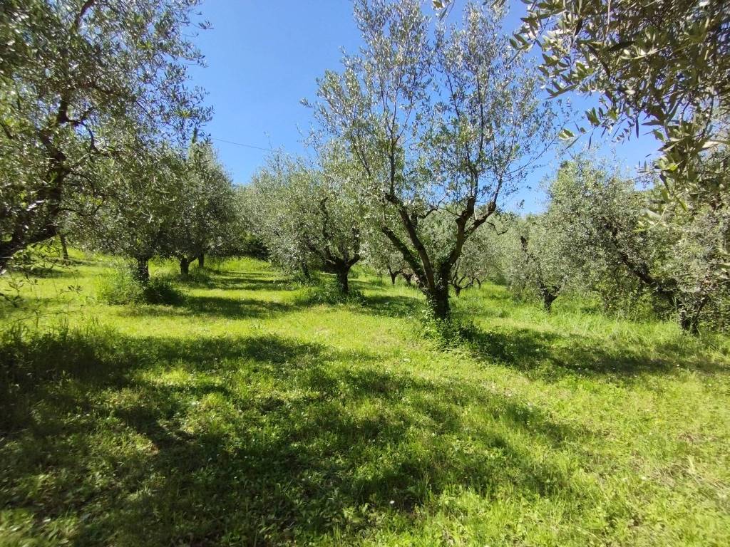 Terreno a Quarrata in Via dei Ronchi - Foto 5