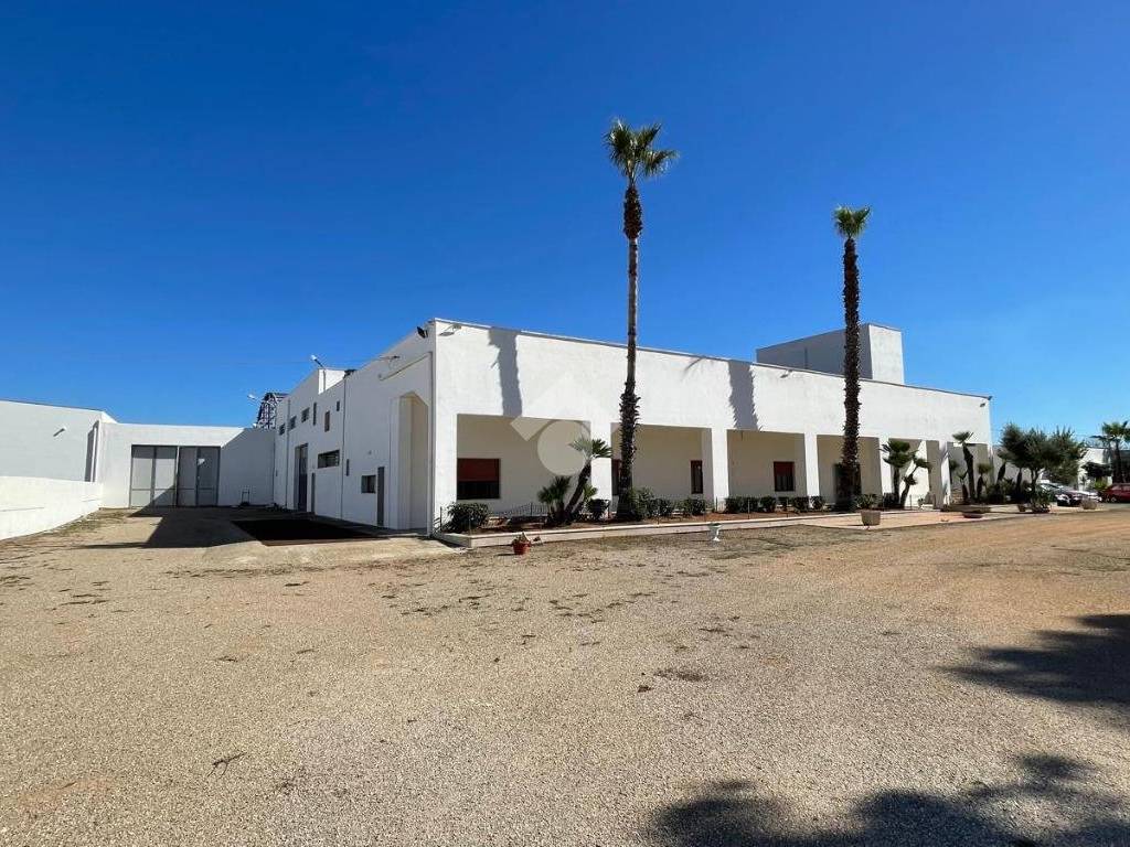 Appartamento a Alliste in Via Ugento - Foto 5