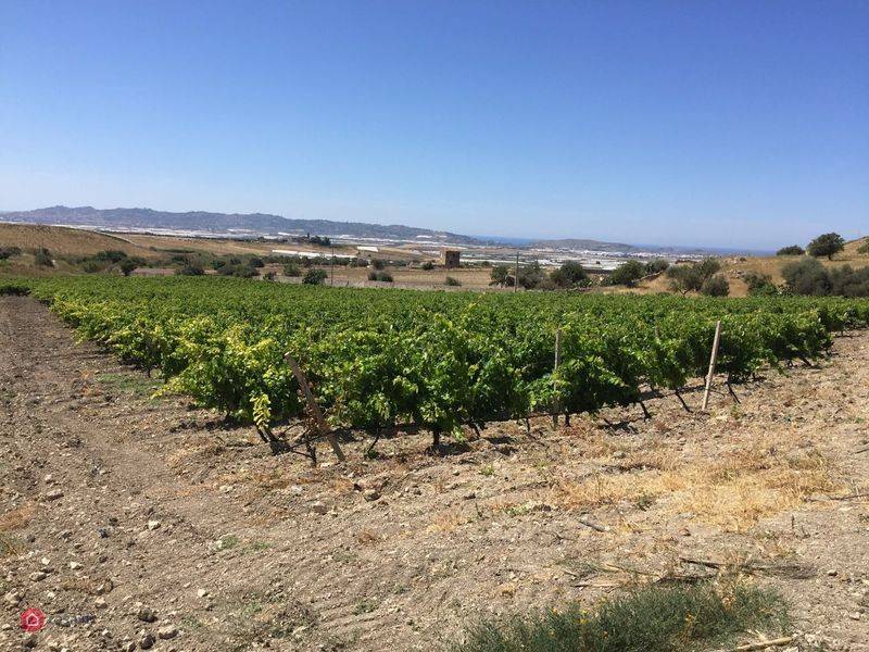 Terreno a Licata in Contrada Sant' Oliva - Foto 5