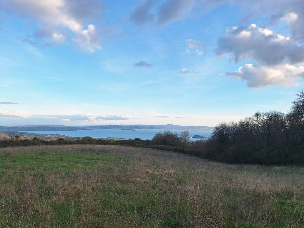 Terreno a Tuoro sul trasimeno - Foto 2