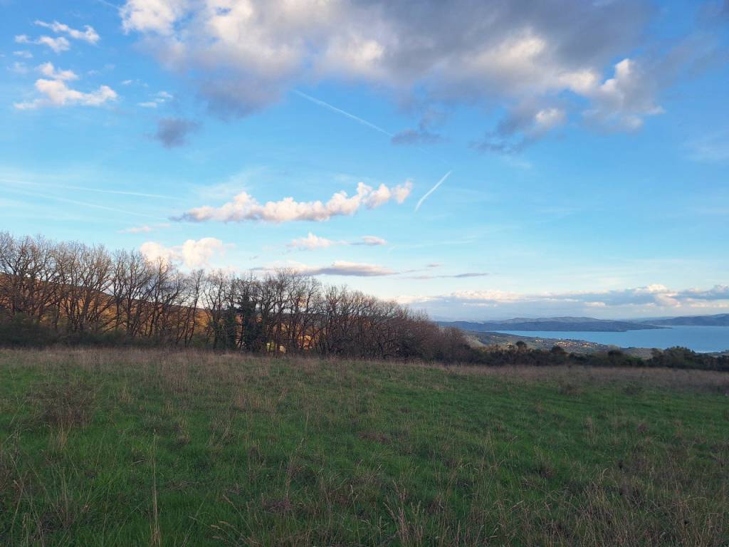 Terreno a Tuoro sul trasimeno - Foto 3