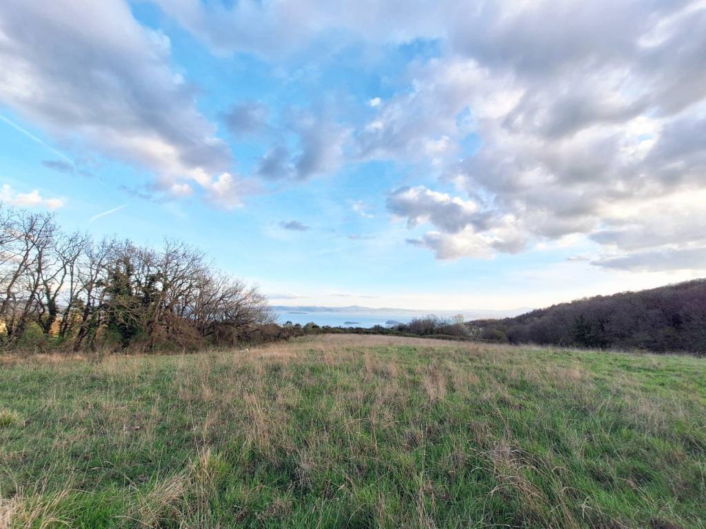 Terreno a Tuoro sul trasimeno - Foto 4