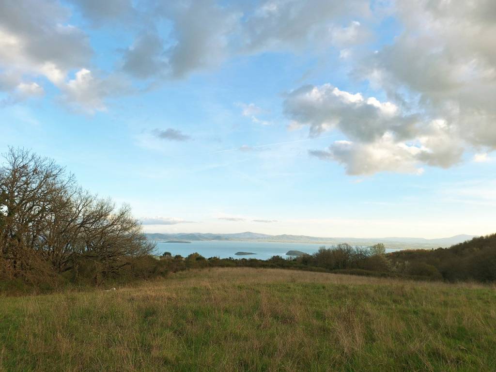 Terreno a Tuoro sul trasimeno - Foto 5