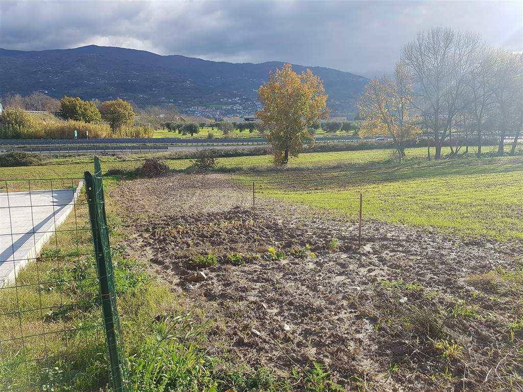 Terreno a Montalto uffugo - Foto 2