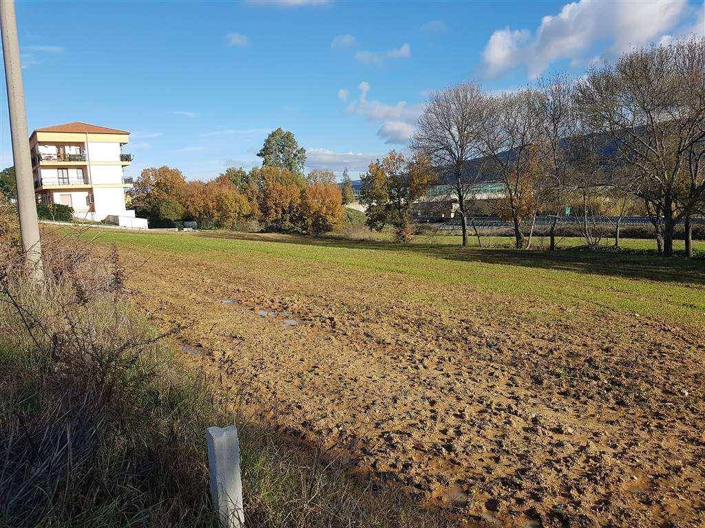 Terreno a Montalto uffugo - Foto 4