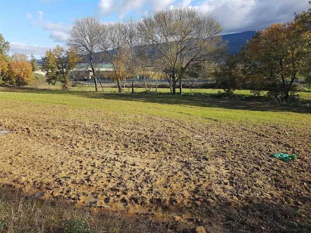 Terreno a Montalto uffugo - Foto 5