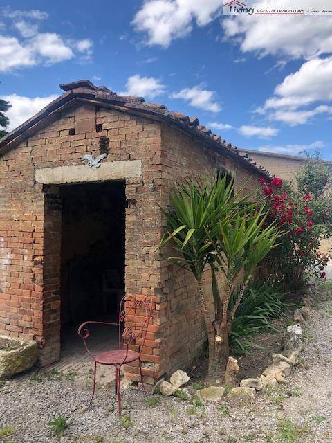 Rustico / casale a Asciano - Foto 3