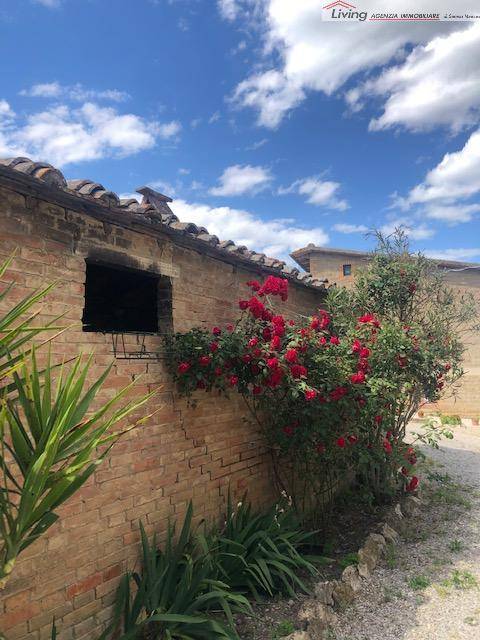 Rustico / casale a Asciano - Foto 5
