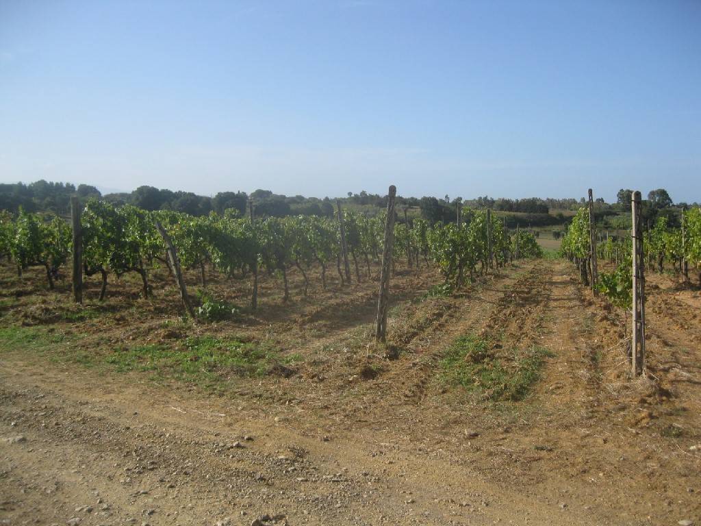 Immobile a Massa marittima - Foto 2