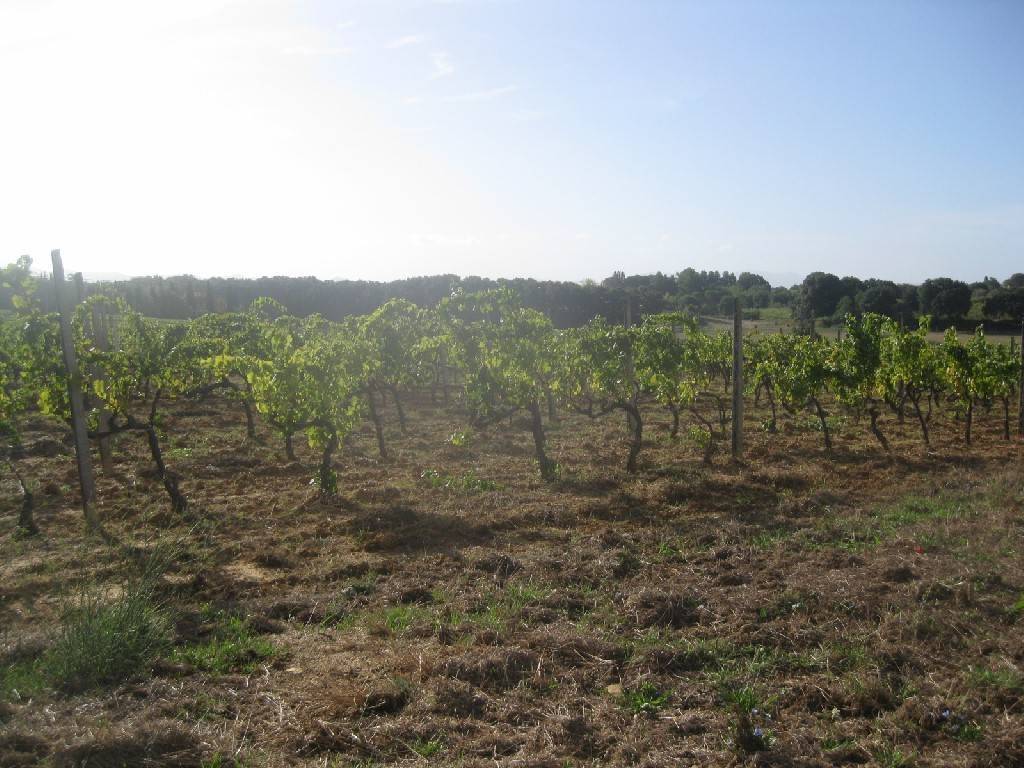 Immobile a Massa marittima - Foto 3