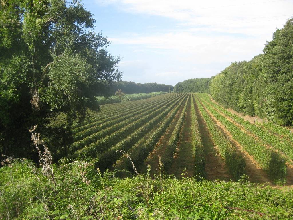 Immobile a Massa marittima - Foto 5