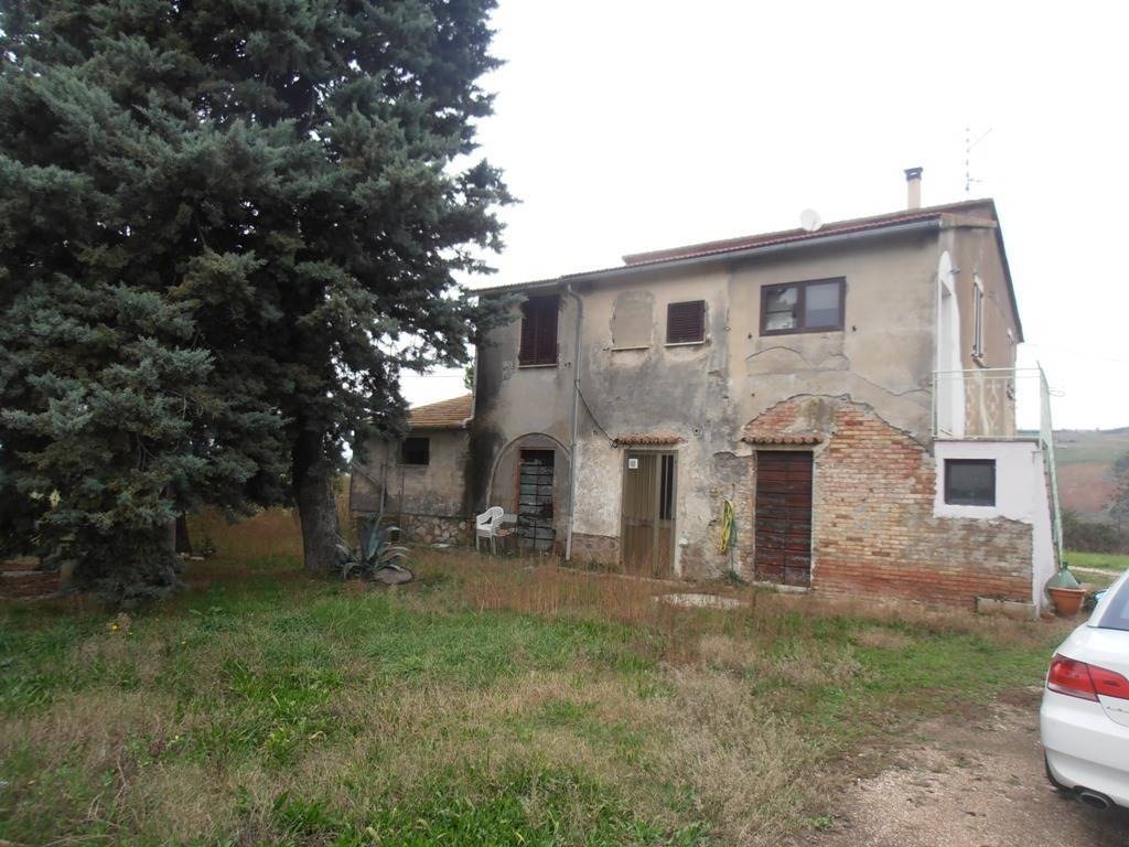 Immobile a Campagnatico - Foto 5