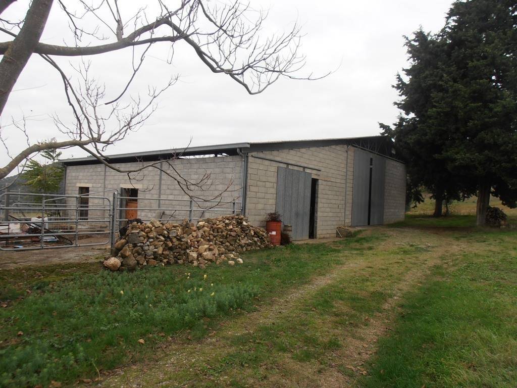 Immobile a Cinigiano - Foto 4