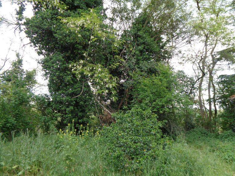 Rustico / casale a Santarcangelo di romagna in Via Sogliano - Foto 4