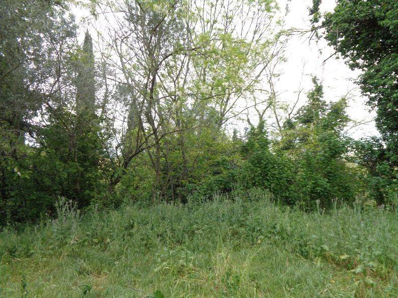 Rustico / casale a Santarcangelo di romagna in Via Sogliano - Foto 5