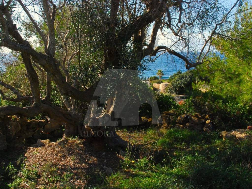 Terreno a Patù in SP214 - Foto 2