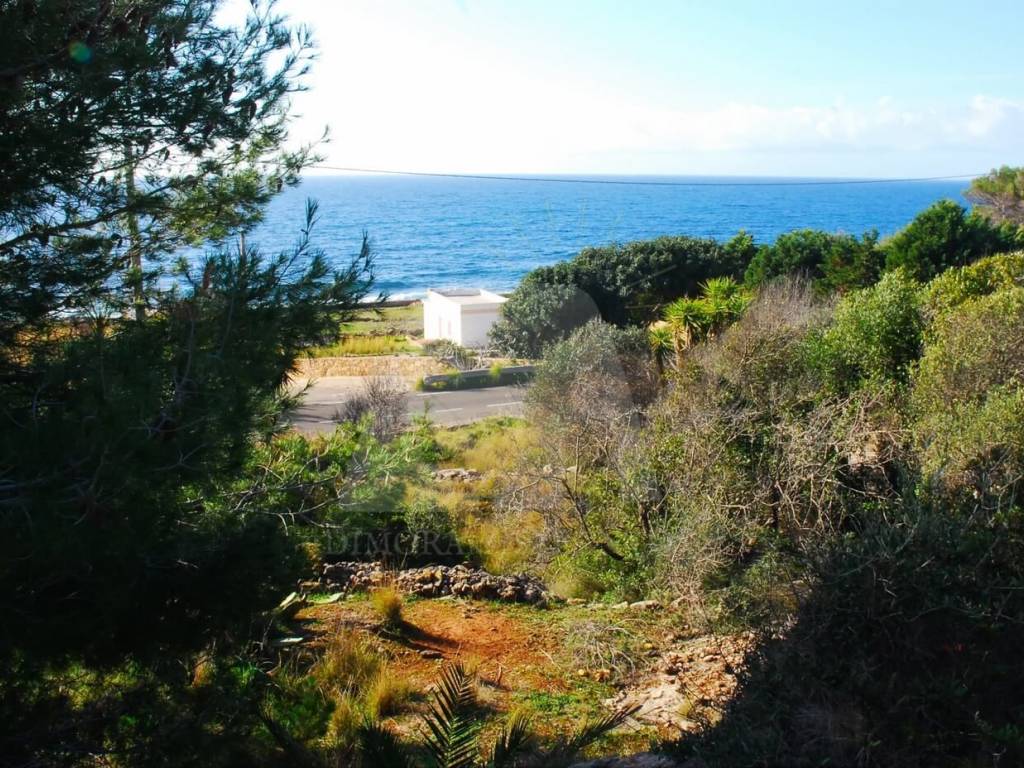 Terreno a Patù in SP214 - Foto 3