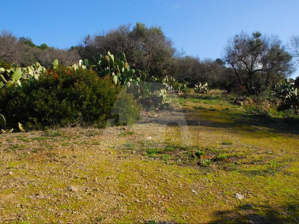 Terreno a Patù in SP214 - Foto 4