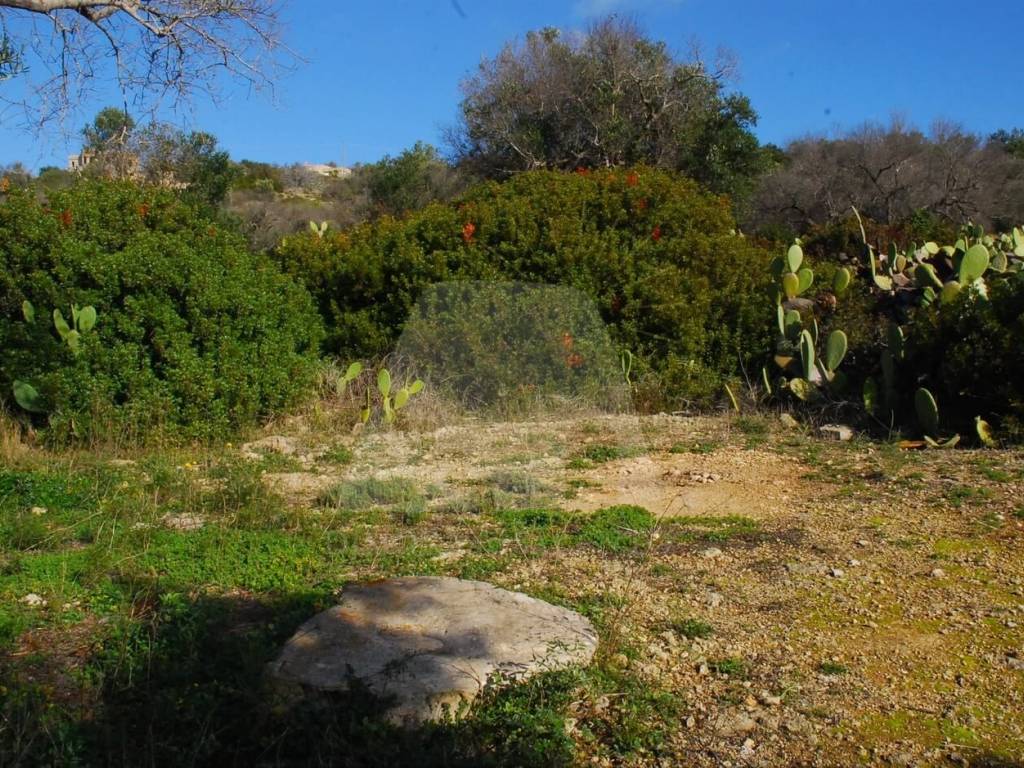 Terreno a Patù in SP214 - Foto 5