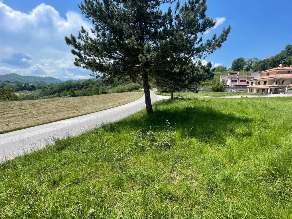 Terreno a Torricella sicura in Torricella Sicura (TE) - Foto 4