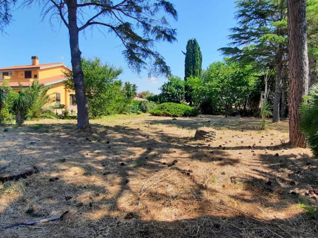 Terreno a Tarquinia in Via dei Sisina - Foto 2